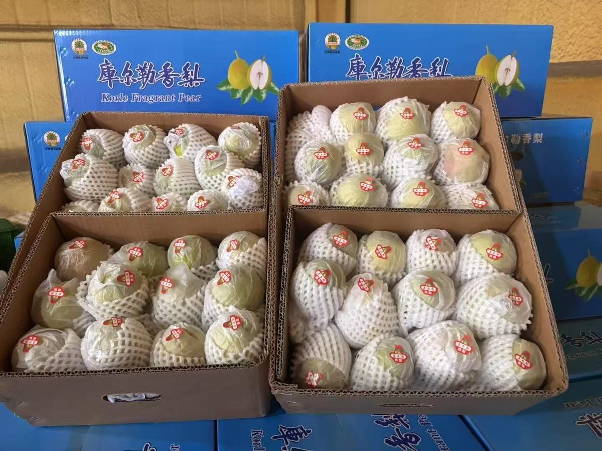 库尔勒香梨出口，新疆地理标志小果型香梨，Korla fragrant pear bulk supply from China
